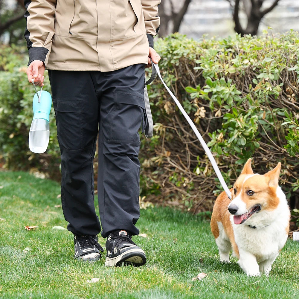 Bouteille d'Eau Portable pour Chien - Distributeur d'Eau pour Animaux de Compagnie, Idéal pour les Promenades et Voyages en Plein Air