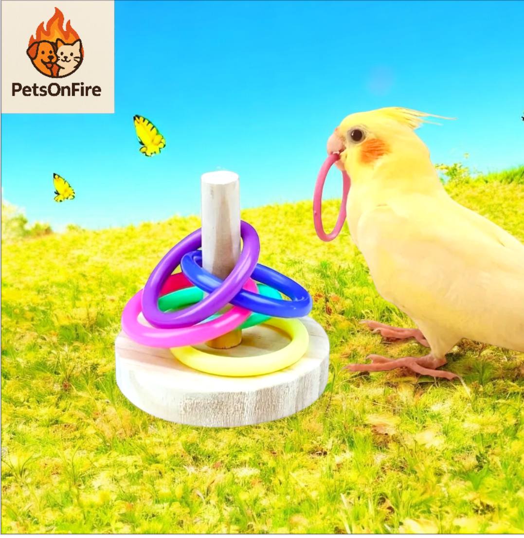 Anneau Interactif en Bois pour Perroquet – Jouet Éducatif Stimulant pour Perroquets et Perruches, Temps de Jeu Amusant et Exercice Physique, Couleur Aléatoire