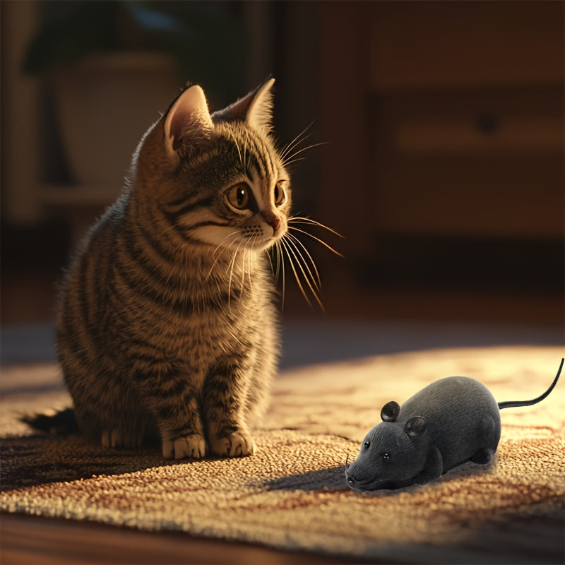 Jouet Souris Télécommandée – Pour Chats & Chiens, Plastique Durable, Fun Assuré !